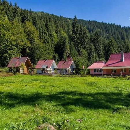 Cabana Valea Stanciului Rachitele Exterior foto