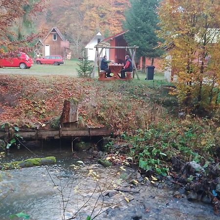 Cabana Valea Stanciului Rachitele Exterior foto