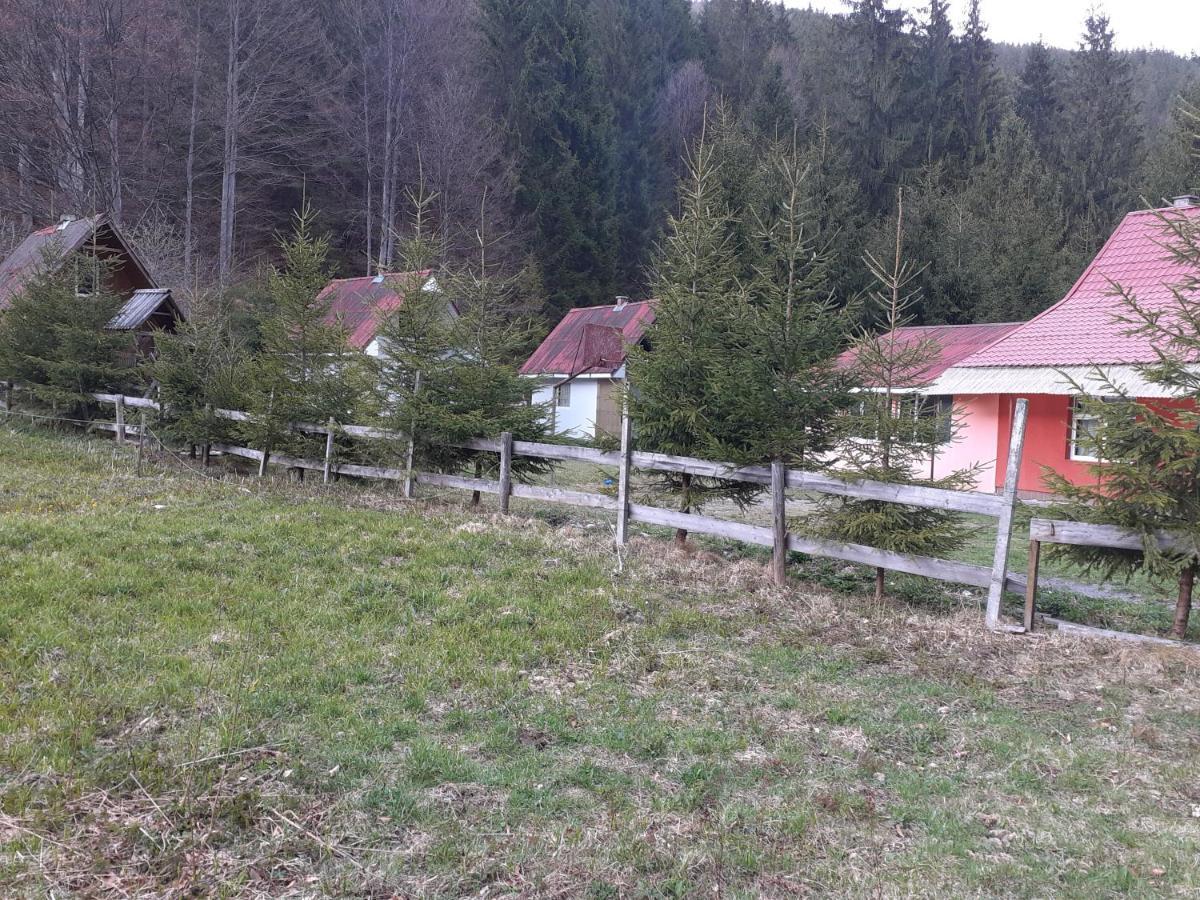 Cabana Valea Stanciului Rachitele Exterior foto