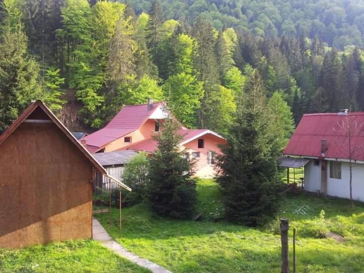 Cabana Valea Stanciului Rachitele Exterior foto